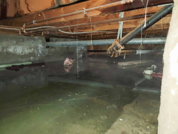 Best 24-hour water damage restoration  in Fosston, MN