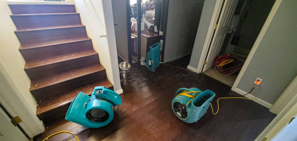 Best Water damage restoration insurance claims  in Fosston, MN