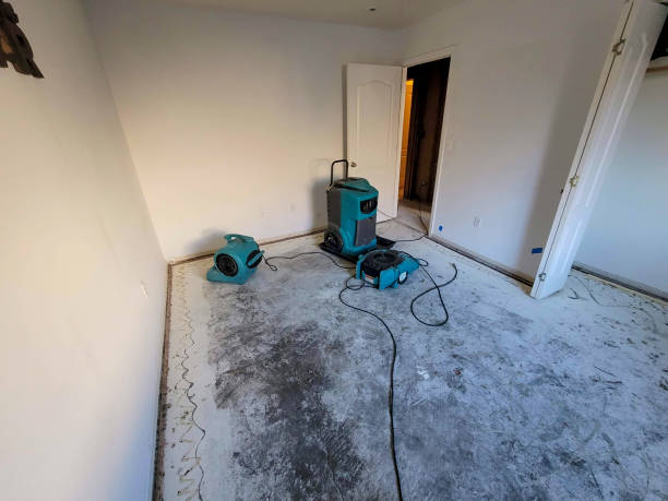 Best Mold removal after water damage  in Fosston, MN