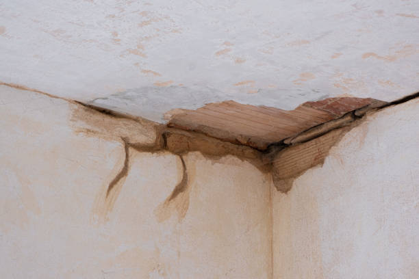 Best Commercial water damage restoration  in Fosston, MN