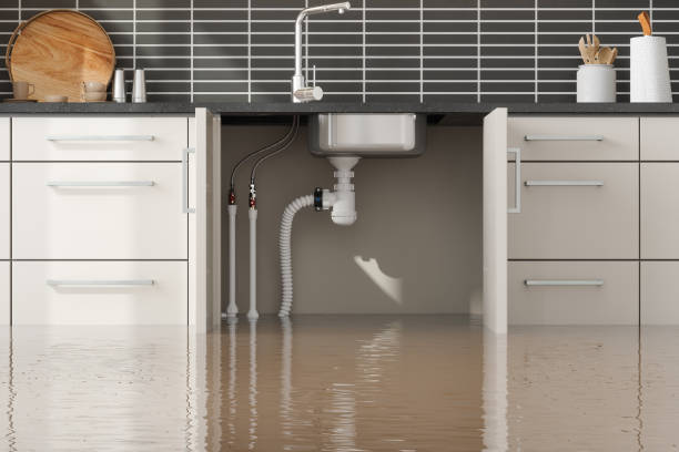 Best Carpet water damage restoration  in Fosston, MN