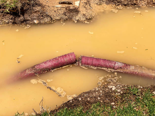Best Flood damage cleanup  in Fosston, MN